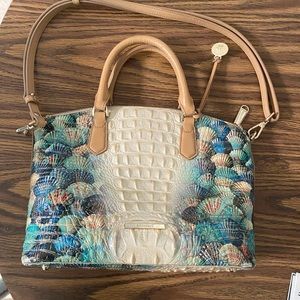 Brahmin Purse